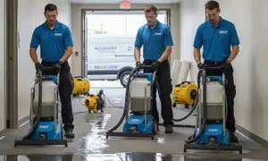 Water extraction service in Moreno Valley, CA for fast water damage restoration